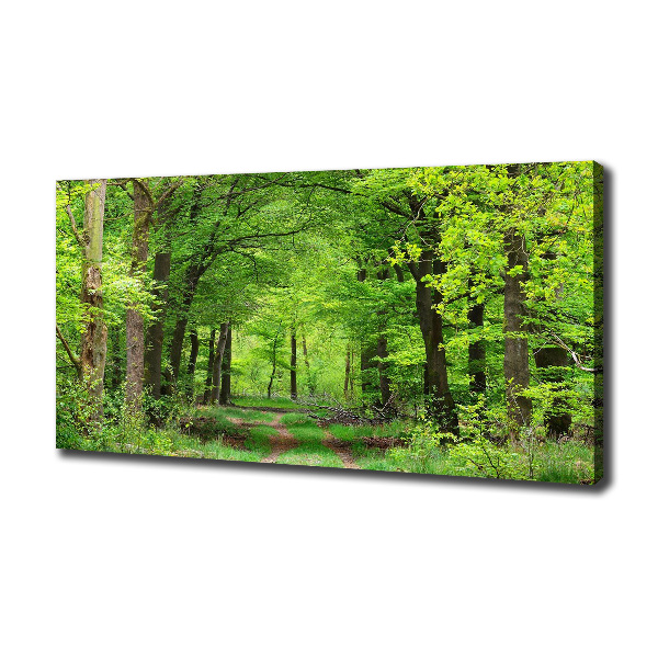 Foto canvas Lentebos
