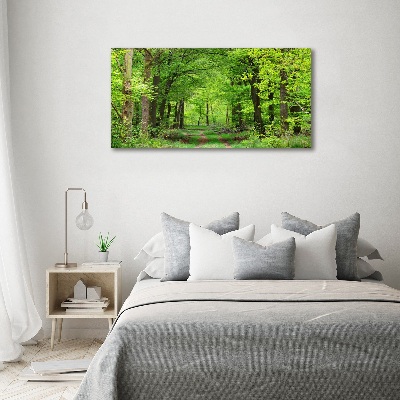 Foto canvas Lentebos