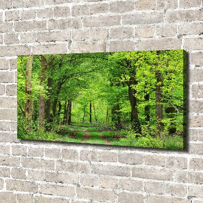 Foto canvas Lentebos
