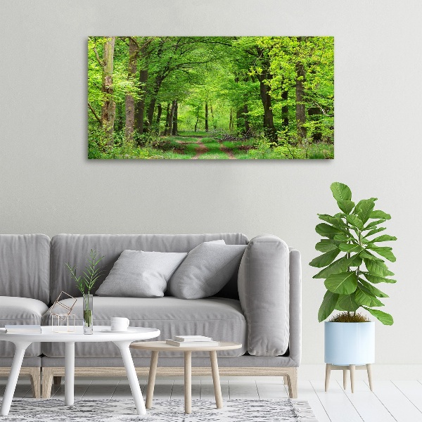 Foto canvas Lentebos