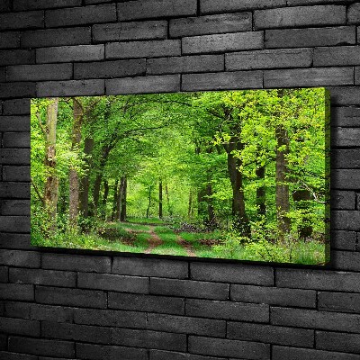 Foto canvas Lentebos