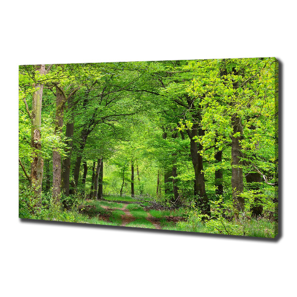 Foto canvas Lentebos