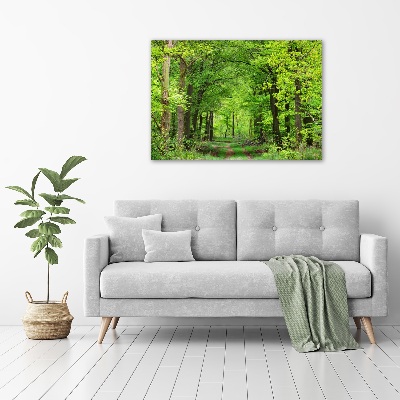 Foto canvas Lentebos