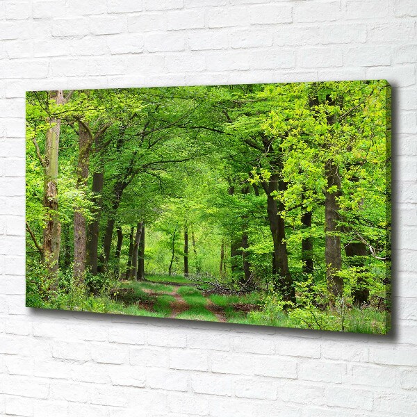 Foto canvas Lentebos