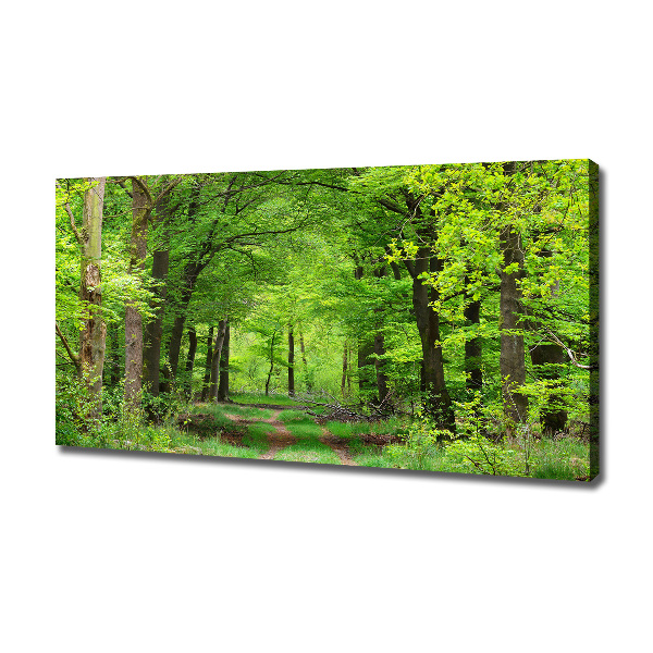 Foto canvas Lentebos