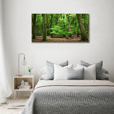 Foto op canvas Nederlands bos