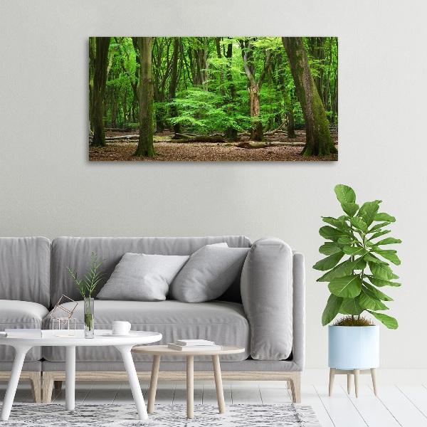 Foto op canvas Nederlands bos