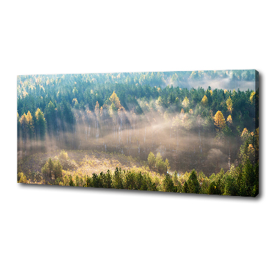 Canvas schilderij Mist in het bos
