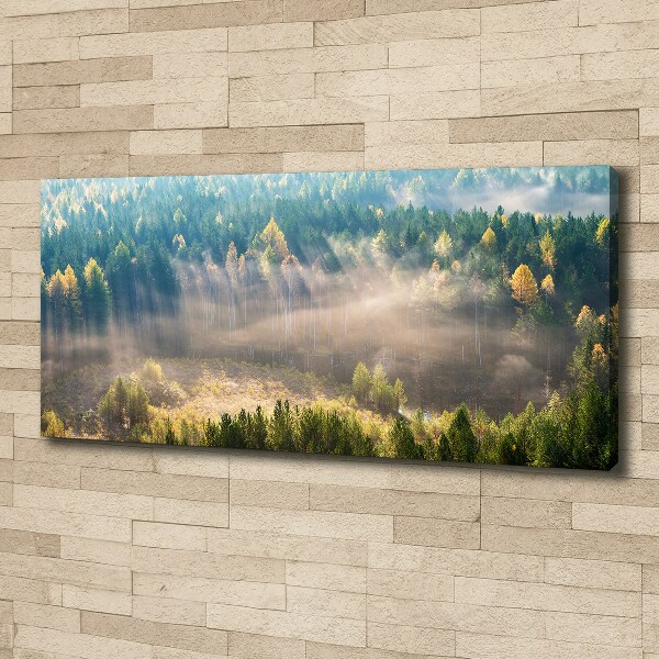 Canvas schilderij Mist in het bos