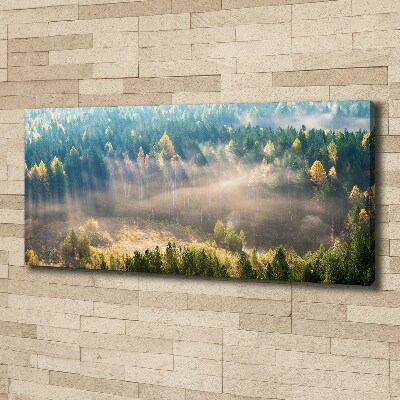 Canvas schilderij Mist in het bos