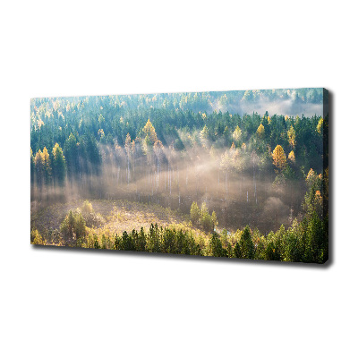 Canvas schilderij Mist in het bos