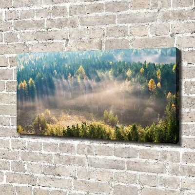 Canvas schilderij Mist in het bos