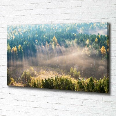 Canvas schilderij Mist in het bos
