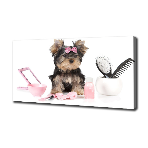 Canvas foto Yorkshire cosmetica