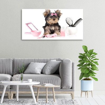 Canvas foto Yorkshire cosmetica