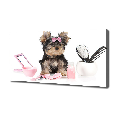 Canvas foto Yorkshire cosmetica