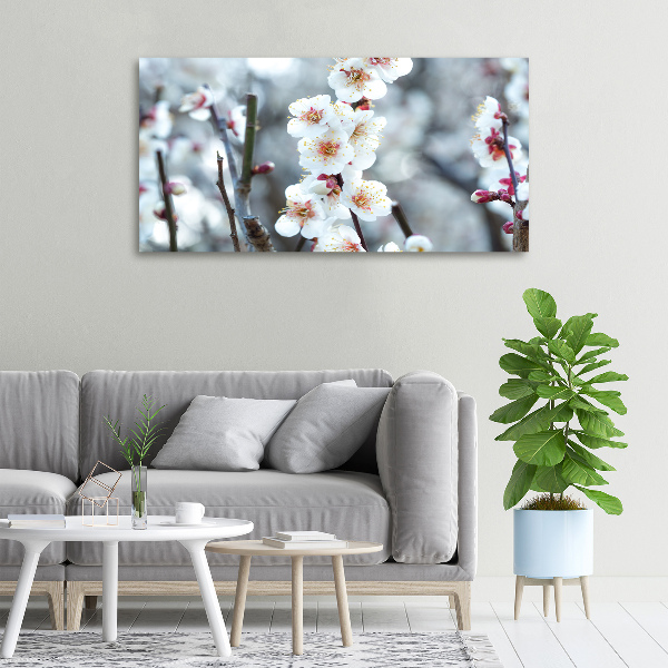 Schilderij op canvas Kersenbloesems