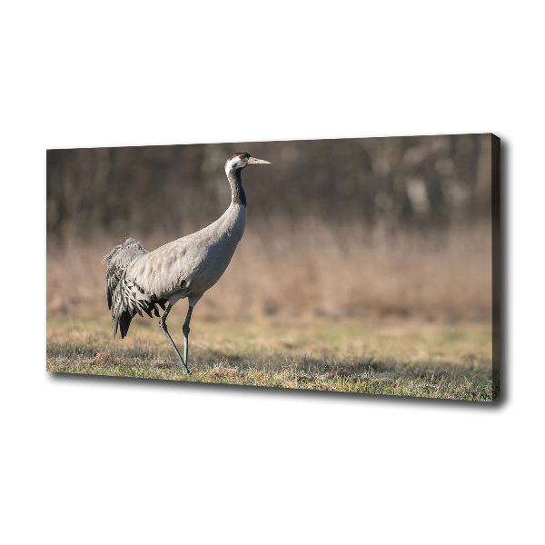 Canvas schilderij Reiger