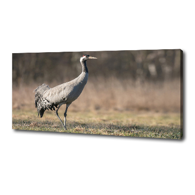 Canvas schilderij Reiger