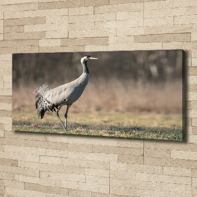 Canvas schilderij Reiger