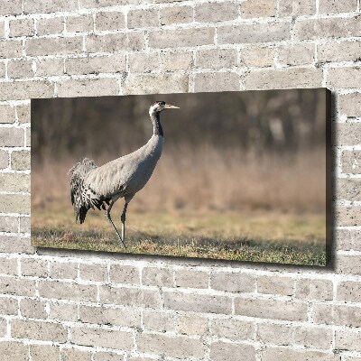 Canvas schilderij Reiger