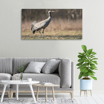 Canvas schilderij Reiger