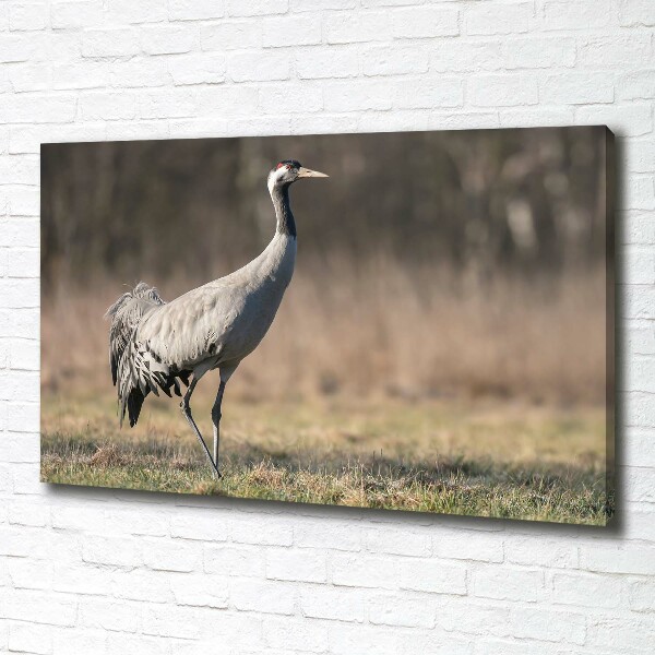 Canvas schilderij Reiger