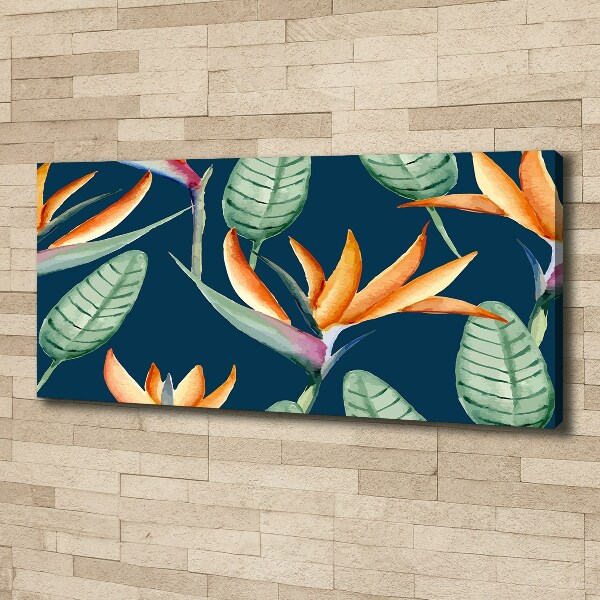 Canvas foto Strelitzia reginae