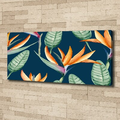 Canvas foto Strelitzia reginae