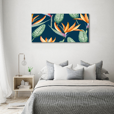 Canvas foto Strelitzia reginae