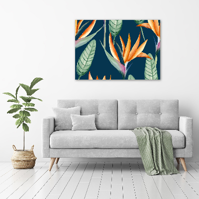 Canvas foto Strelitzia reginae
