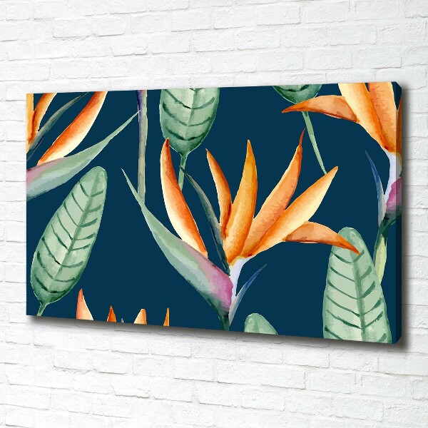 Canvas foto Strelitzia reginae