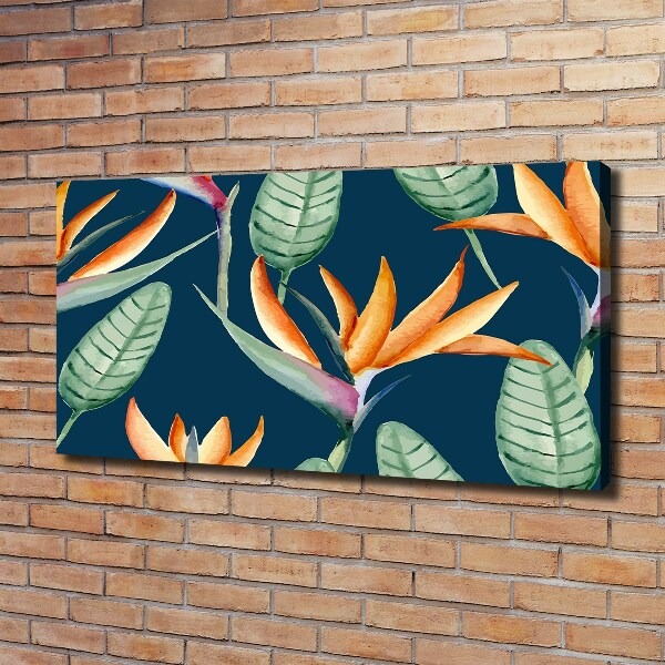 Canvas foto Strelitzia reginae