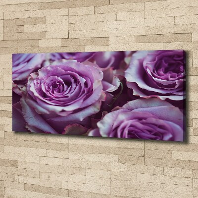 Foto op canvas Paarse rozen