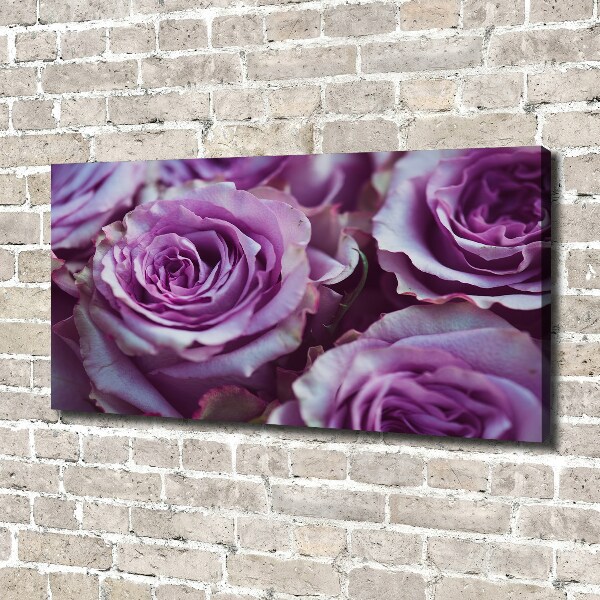 Foto op canvas Paarse rozen