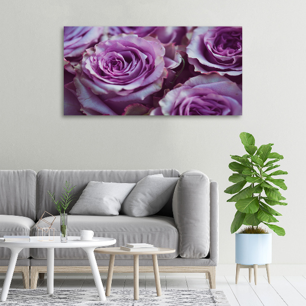 Foto op canvas Paarse rozen