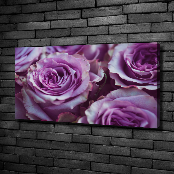 Foto op canvas Paarse rozen