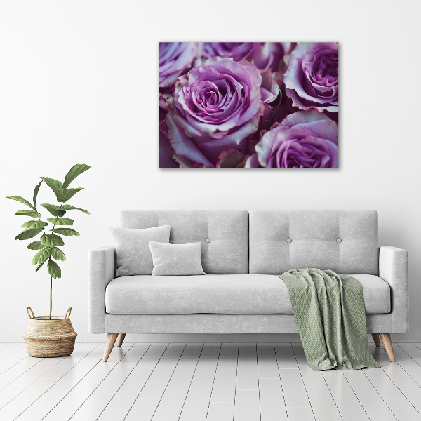 Foto op canvas Paarse rozen
