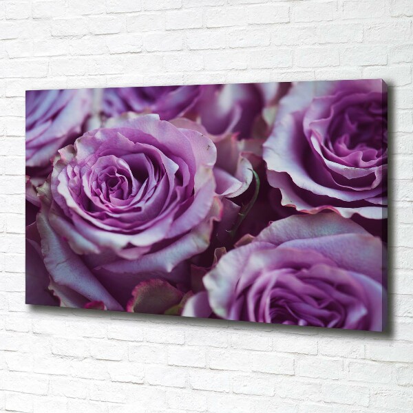 Foto op canvas Paarse rozen