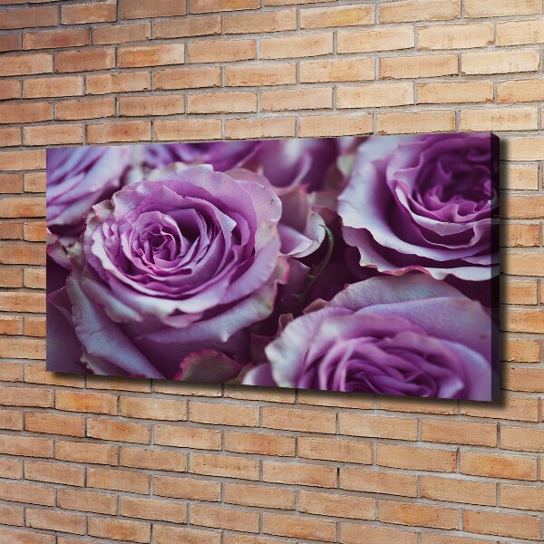 Foto op canvas Paarse rozen