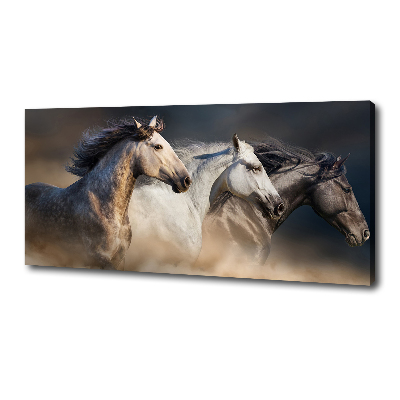 Foto op canvas Paarden in galop