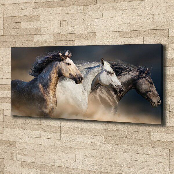 Foto op canvas Paarden in galop