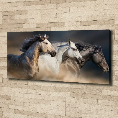 Foto op canvas Paarden in galop