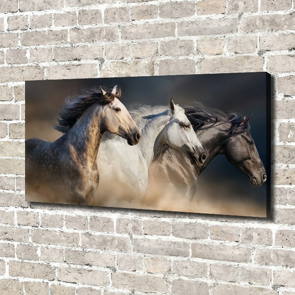 Foto op canvas Paarden in galop