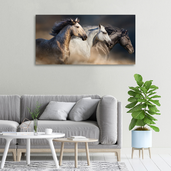 Foto op canvas Paarden in galop