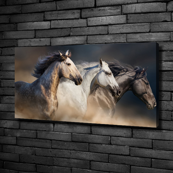 Foto op canvas Paarden in galop