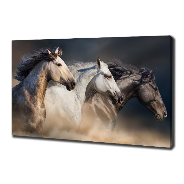 Foto op canvas Paarden in galop