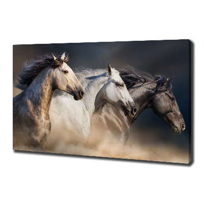 Foto op canvas Paarden in galop