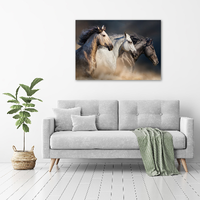 Foto op canvas Paarden in galop