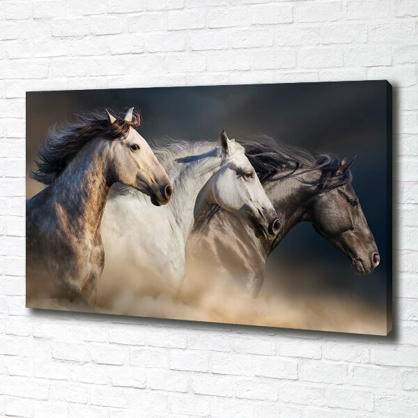 Foto op canvas Paarden in galop
